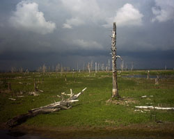 Зловещее и прекрасное болото на подъезде к Аллакам