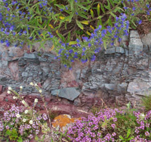 Багровая земля, зеленые камни, множество цветочков