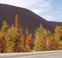 Чем дальше - тем меньше зеленого