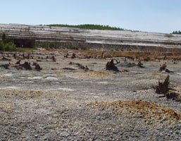Долина реки Сак-Елги