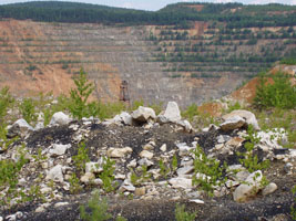 Ступеньки вдали - по 4-5 метров высотой