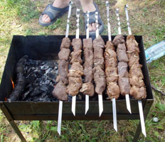 Вкусные были шашлыки...