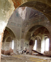 Центральная часть храма. Козы...